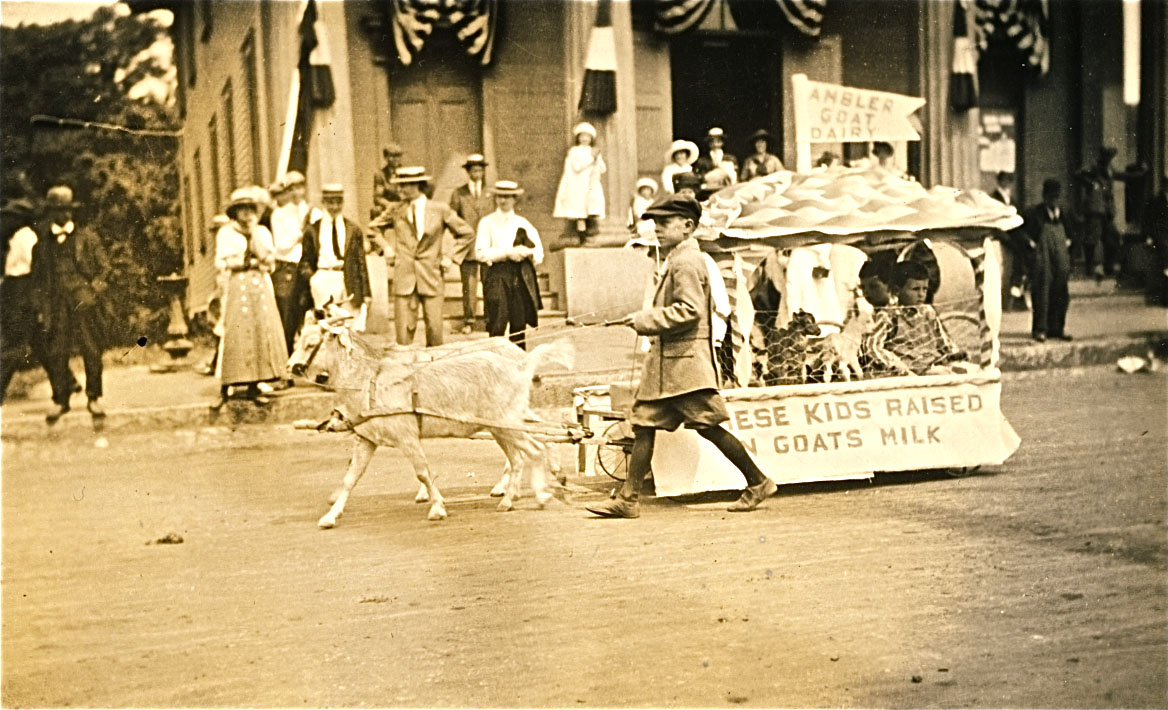 200th anniversary parade: Goat's milk cart